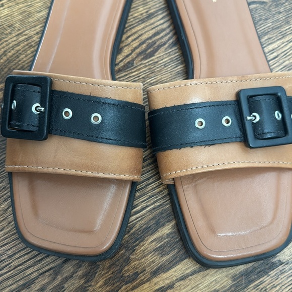 Anthropologie slides - Picture 6 of 6